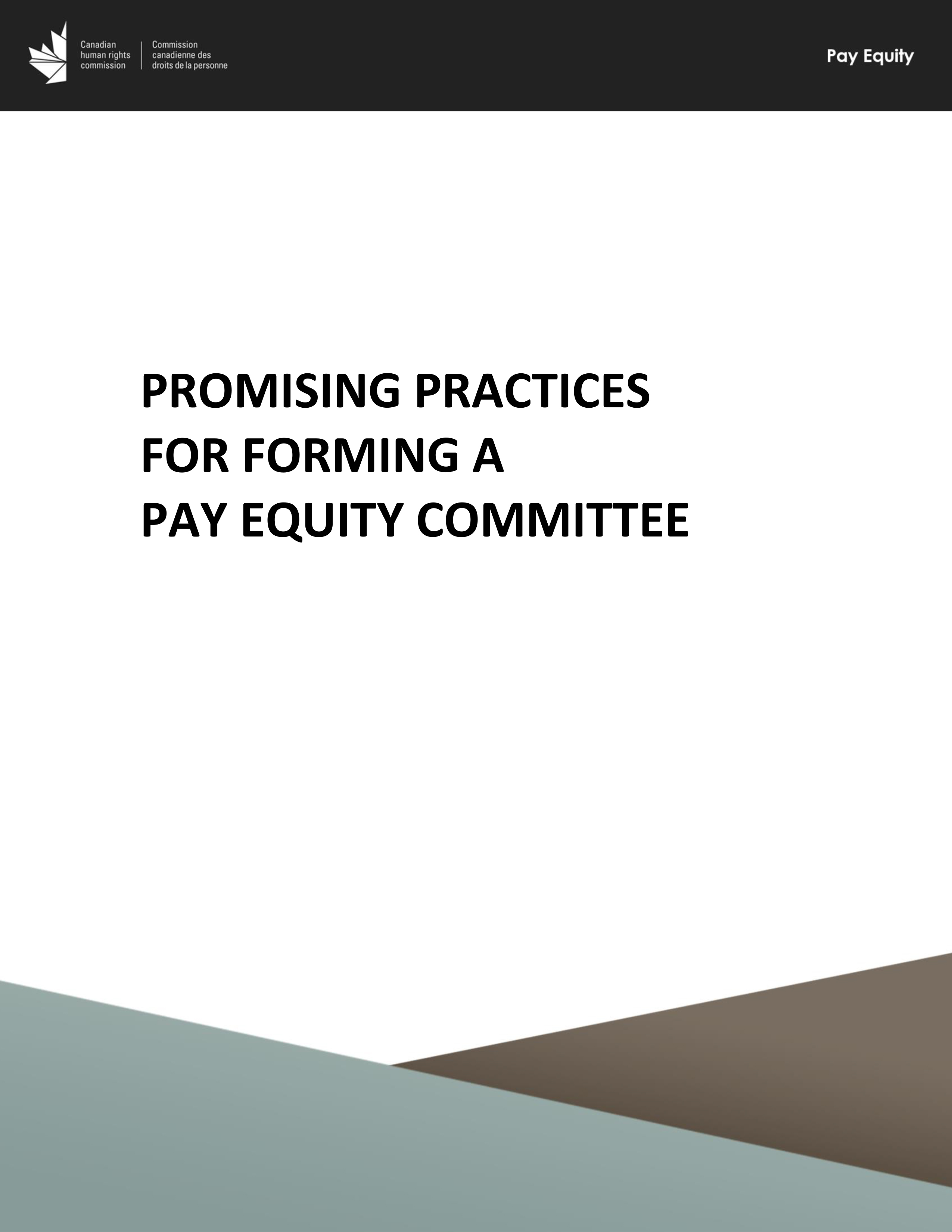 Promising practices for forming a pay equity committee