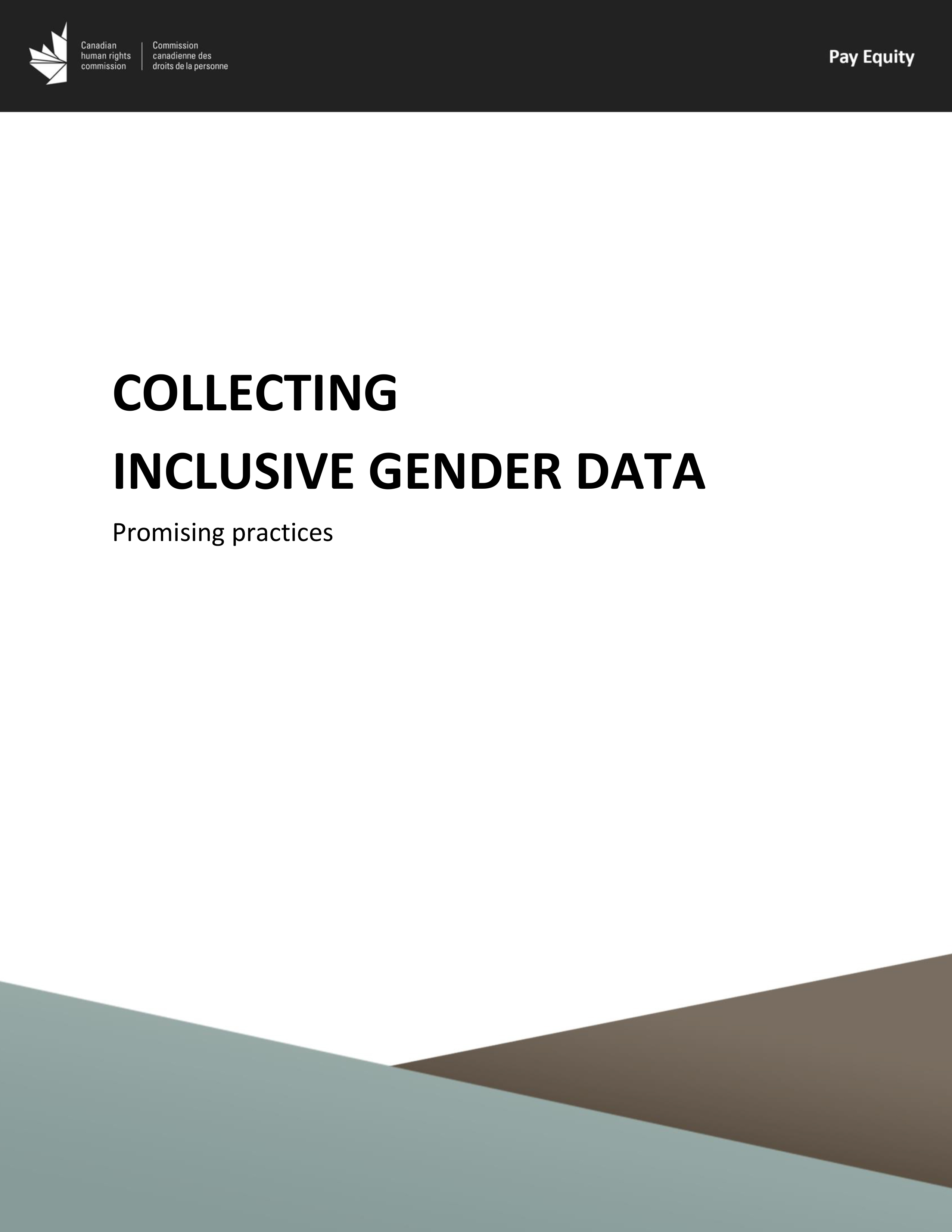Promising practices - Collecting inclusive gender data